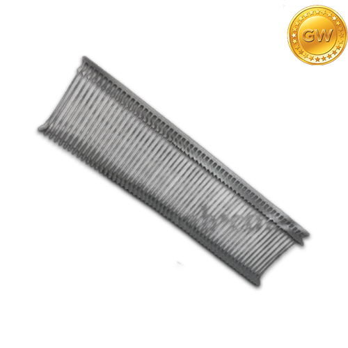 تیر تفنگ اتیکت زن